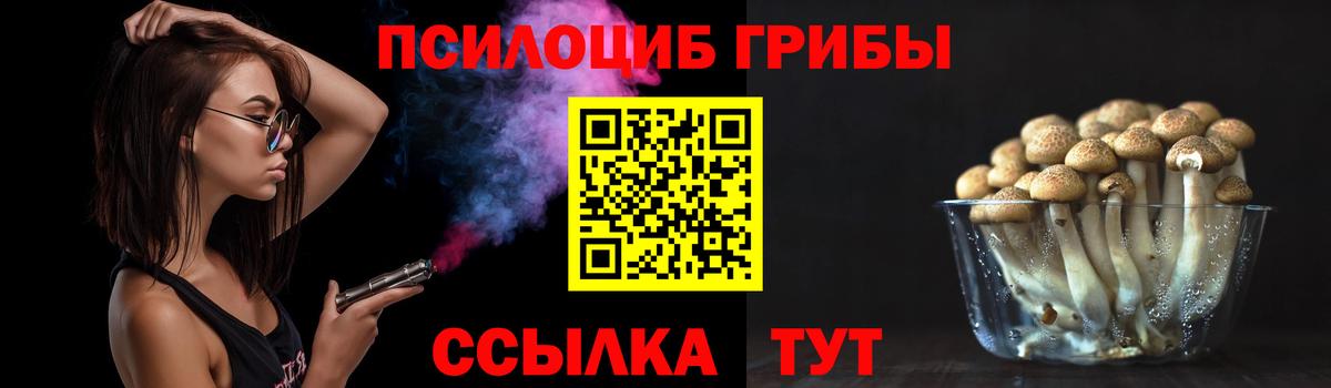 Отрадное  Псилоцибиновые грибы Psilocybe  Вход с VPN 