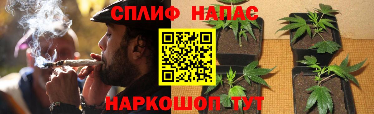 Бошки Шишки марихуана  Бошки марихуана VHQ  Отрадное  Бошки Шишки Bruce Banner  Вход с VPN 